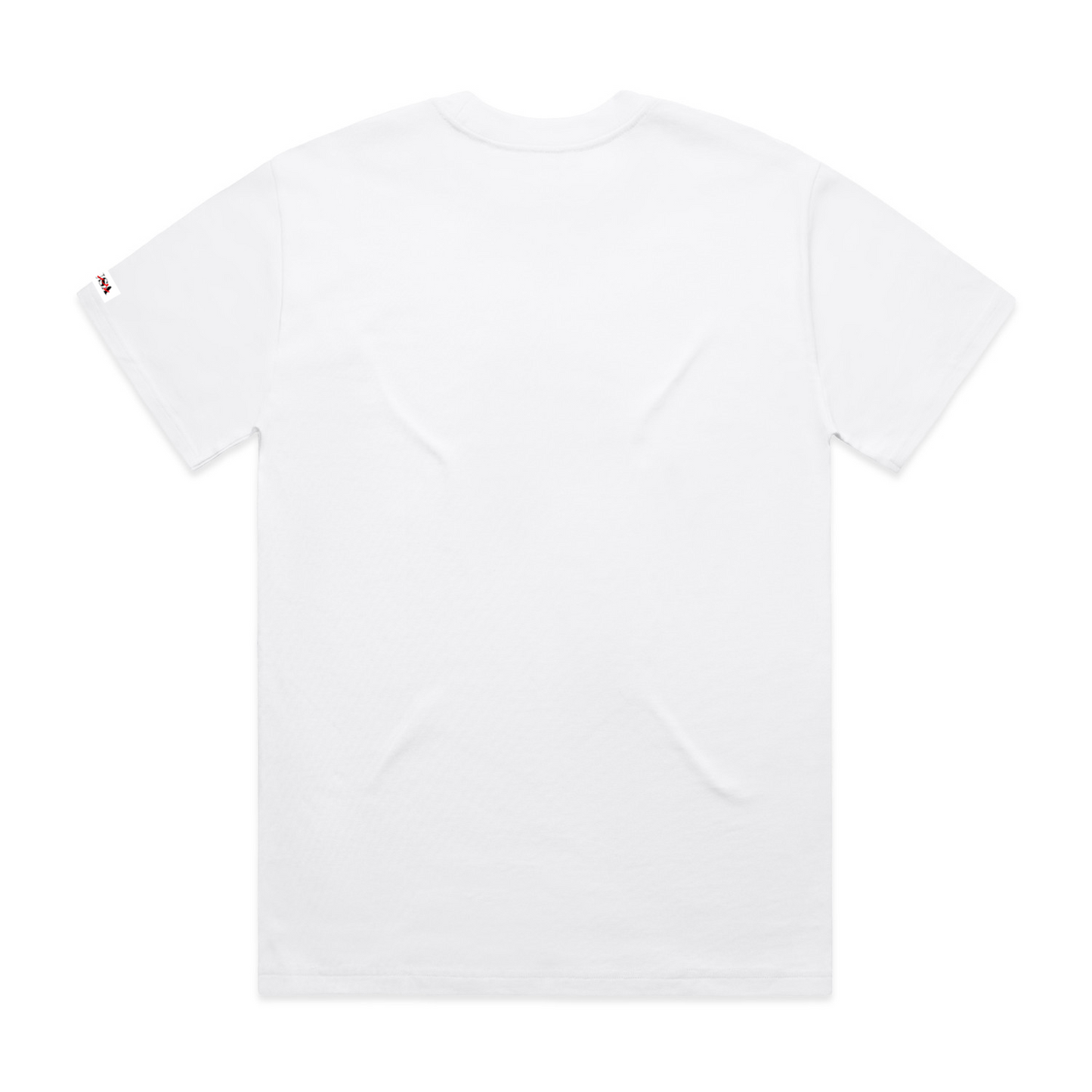 Plain Label T-shirts